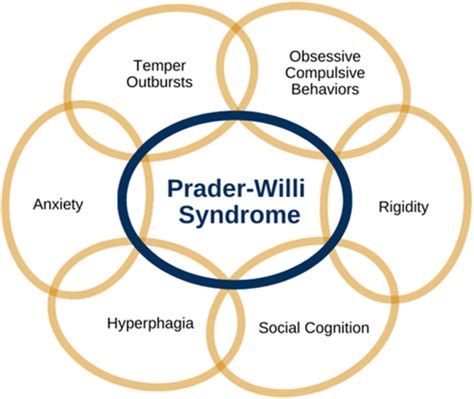 Prader–Willi syndrome and autism spectrum disorders: an 